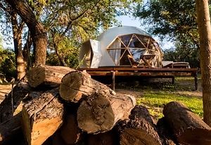 Geodesic dome in the forest