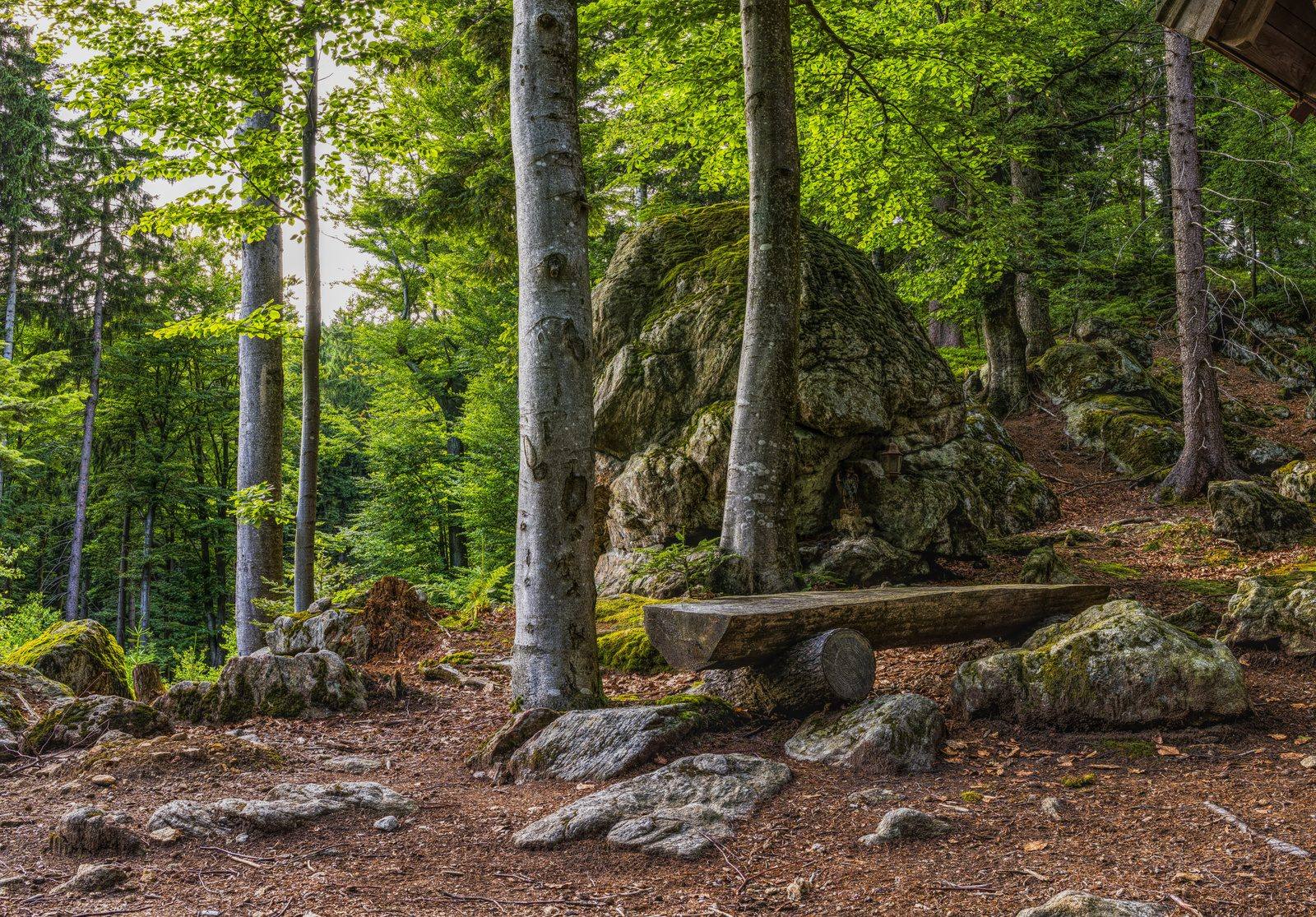 Native woodland and rock formations