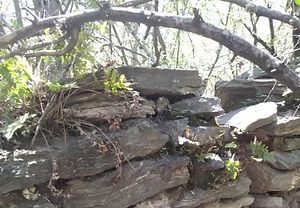 Stone walls and 800-year-old house ruins